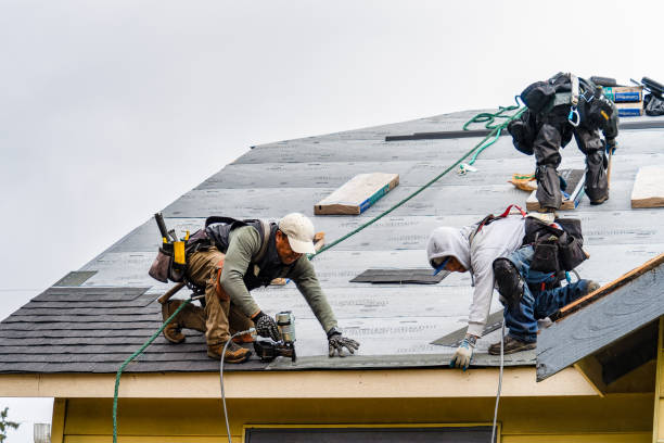 Professional Roofing technician working in Justice, IL